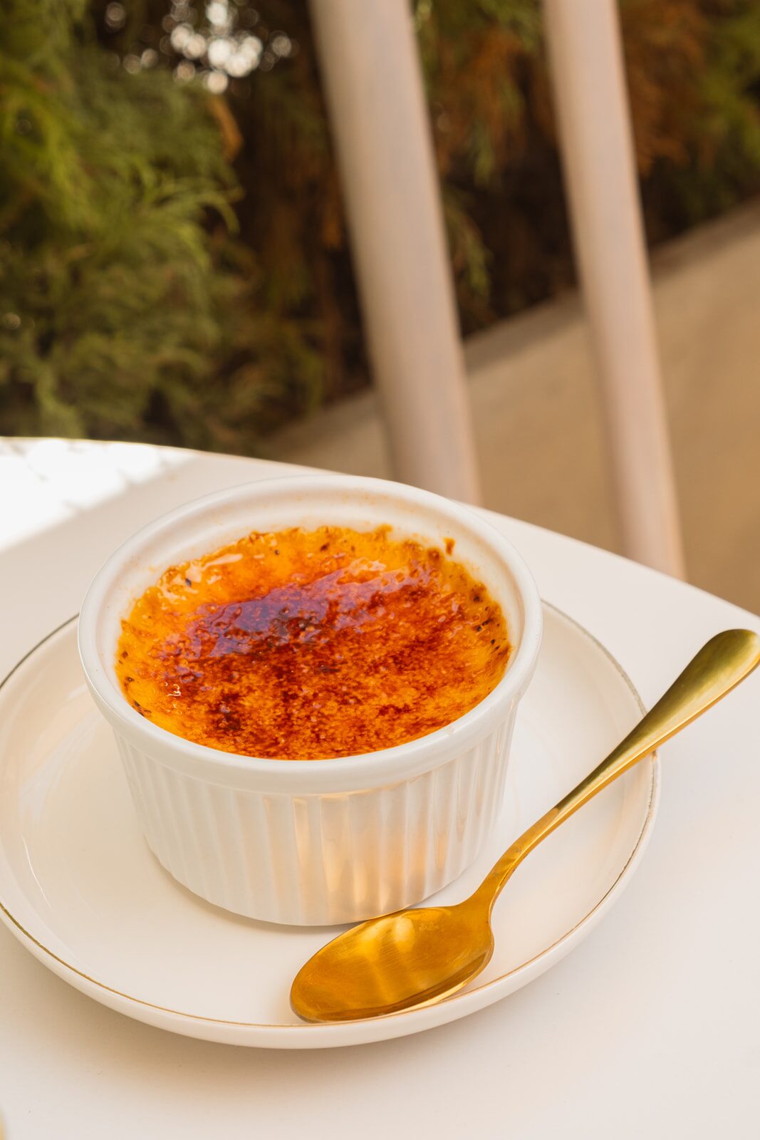 La Crème de la Crème — Photograph 17